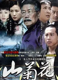《山菊花》：战火中的爱情与人性，一部值得细品的历史片传奇