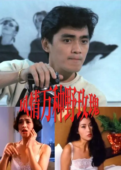 《风情万种野玫瑰》：当野玫瑰遇上《仙侠剧》，这爱情戏简直让人‘脸红心跳’！